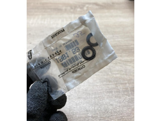 Форсунка 198153, 198153 Peugeot 2008 I