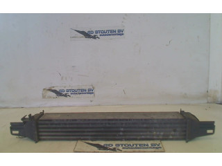 Интеркулер  l8119001, l8119001   Citroen Nemo 