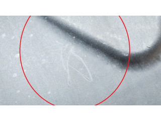 Pojistková skříňka 50509531, 50509532 Alfa Romeo MiTo 2011