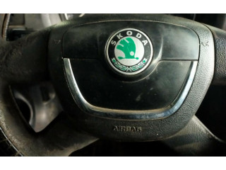 Подушка безопасности двери Skoda Octavia Mk2 (1Z)