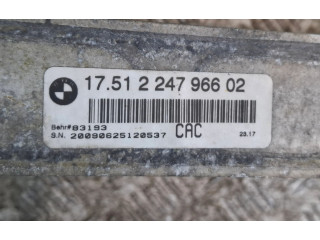 Vstřikovač 2247966, 51224796602 BMW X5 E53