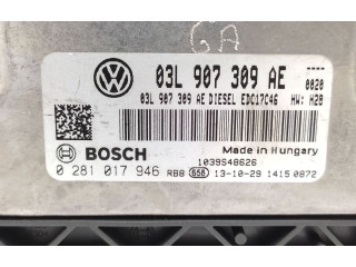 Řídící jednotka 03L907309AE, 0281017946   Volkswagen Tiguan 2013