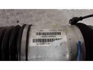 Задний aмортизатор      