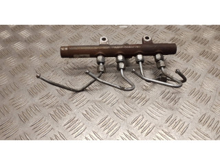 Топливная рампа A2C20001221, H820015617 Renault Scenic III - Grand scenic III для двигателя K9K832