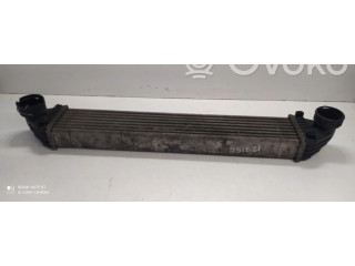 Интеркулер  A1695000000, A1695000000   Mercedes-Benz A W169 