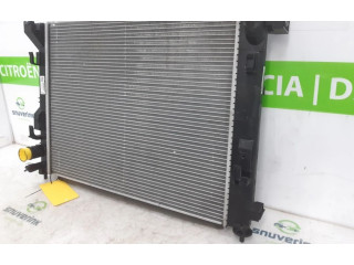 Модуль управления BSM 214106666R, 214106666R   Renault Captur    