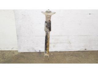 Задний aмортизатор      