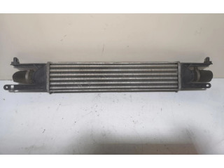 Интеркулер Fiat Punto (199)