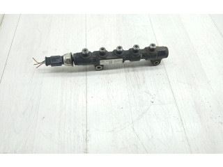 Топливная рампа 9654592680, 9655465480   Peugeot Expert  