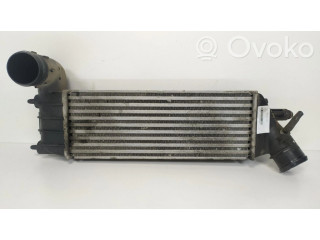Интеркулер 1489396080, IA1076 Citroen C8 2.2