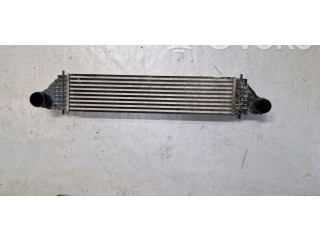 Интеркулер 190220252008 Mitsubishi Outlander