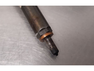 Форсунка 132111041910    Renault Clio III   