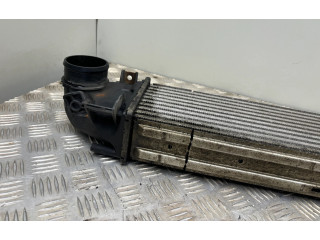 Интеркулер 31338475, 0261230294 Volvo S60