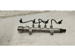 Топливная рампа A6510700495, A6510700700   Mercedes-Benz E W212  