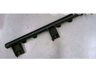 Топливная рампа 8200465550, 8200365996   Renault Clio II  