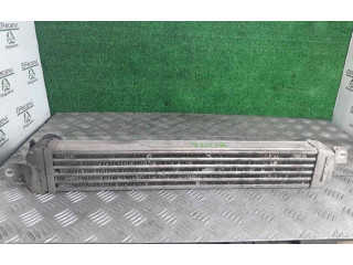 Интеркулер 52401015 Opel Meriva A