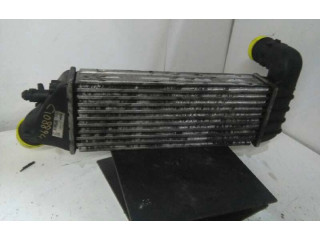 Интеркулер 1489396080, 870229H Citroen C8