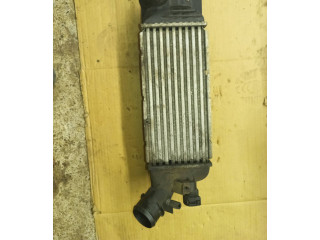 Интеркулер  9650613280   Citroen C5 