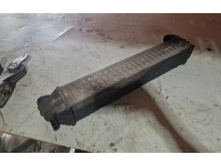 Интеркулер Seat Alhambra (Mk1)