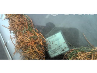 Зеркало электрическое        Renault Scenic III -  Grand scenic III  2009 - 2016 года   