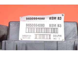 Pojistková skříňka 9650664080, 9650664080 Peugeot 206 CC 2003