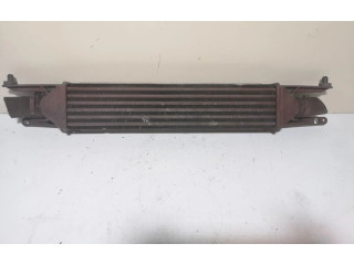 Интеркулер Fiat Punto (199)