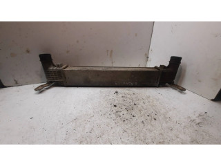 Интеркулер 132002748a Ford Galaxy 1.9