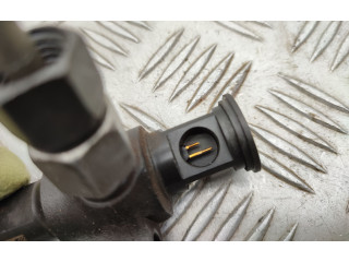 Комплект системы впрыска топлива 9674300080, 9674984080    Ford Kuga II  xrmc 