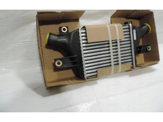 Интеркулер M000T20672 Mitsubishi Grandis