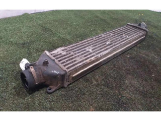 Интеркулер  0051783791   Fiat Punto (199) 