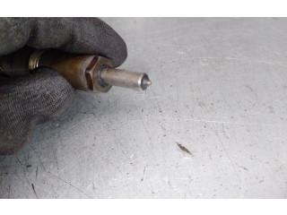 Форсунка 9655304880, SIEMENS Citroen C2 8HX