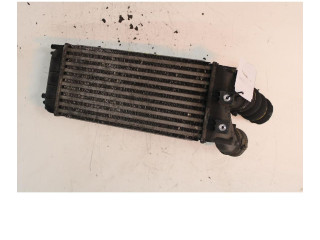 Интеркулер     Citroen Berlingo 1.6