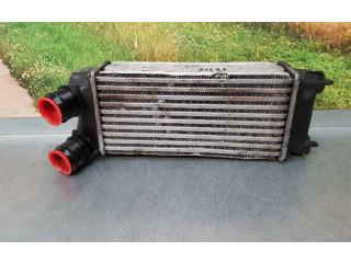 Интеркулер 9800291280, IA2077 Citroen Berlingo 1.6