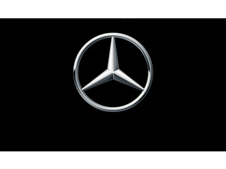 Volant Mercedes-Benz CLS AMG C219 2014 A0004604103