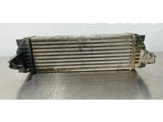 Интеркулер     Ford Transit -  Tourneo Connect 