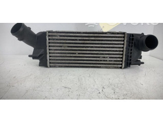 Интеркулер 00000384K8 Citroen C5