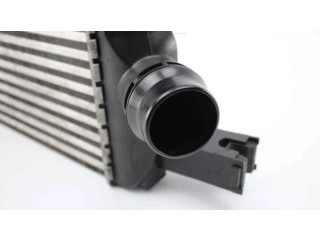 Интеркулер 144963014R Renault Captur