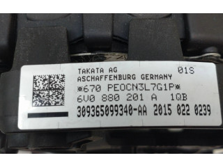 Подушка безопасности водителя 6V0880201A   Skoda Fabia Mk3 (NJ)