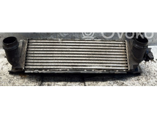 Интеркулер     BMW X3 F25 