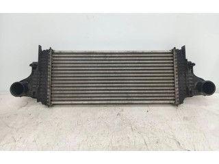 Интеркулер     Mercedes-Benz ML W164 