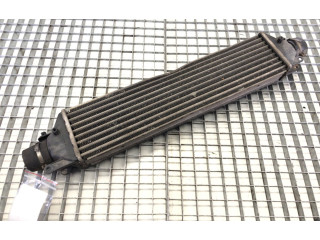 Интеркулер     Fiat Linea 