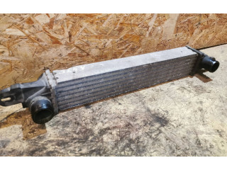 Интеркулер 52429458, 202922 Opel Meriva A