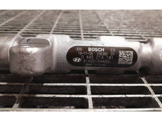 Vstřikovací lišta 23638001, 0445214181 Hyundai ix35 D4FD