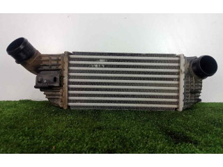 Интеркулер 9683009680, 300X157X81 Citroen C5