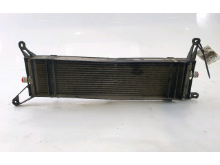 Интеркулер 95810621210 Porsche Cayenne (92A)