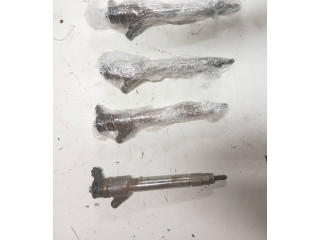 Комплект жиклеров (форсунок) 0445110955, 9828959880   Peugeot Partner III