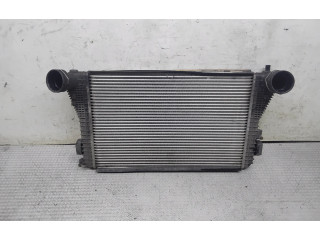 Интеркулер     Skoda Octavia Mk2 (1Z) 