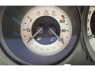 Панель приборов A2189007302, 2189007302   Mercedes-Benz CLS C218 X218       