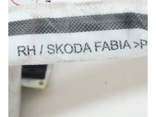 Боковая подушка безопасности 1035382Y, LHSKCDAFB Skoda Fabia Mk3 (NJ)