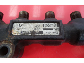 Vstřikovací lišta 965459280 Citroen Berlingo